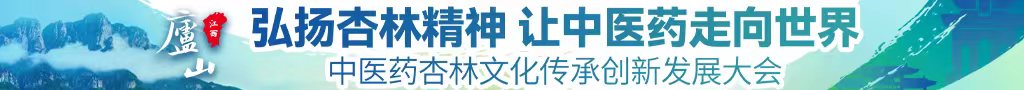 瑟黄bb日本日逼中医药杏林文化传承创新发展大会